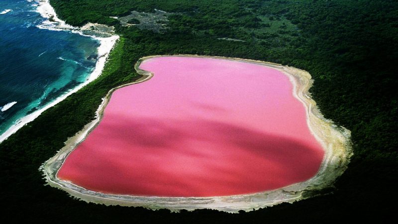 12_2-lake-hillier-pink-lake-west-australia